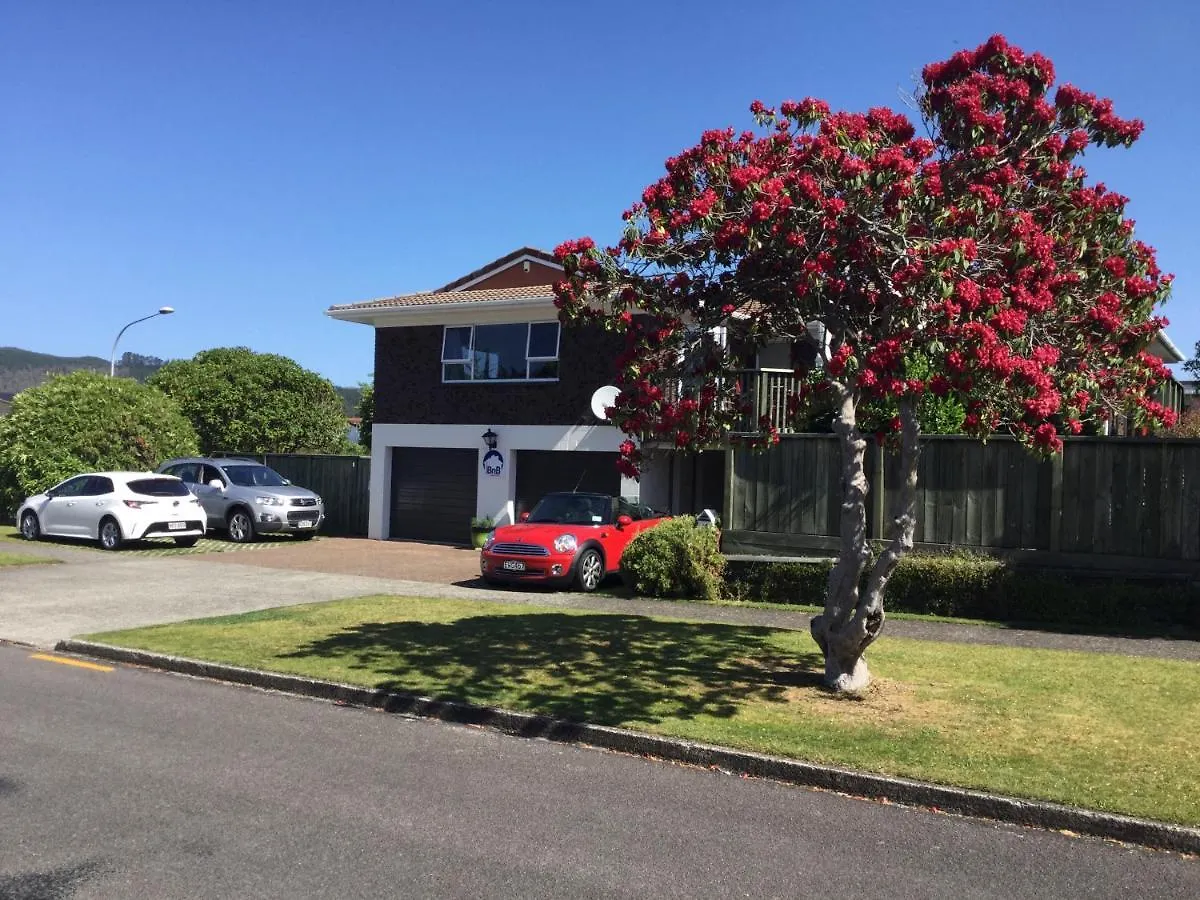 Rotorua Studio